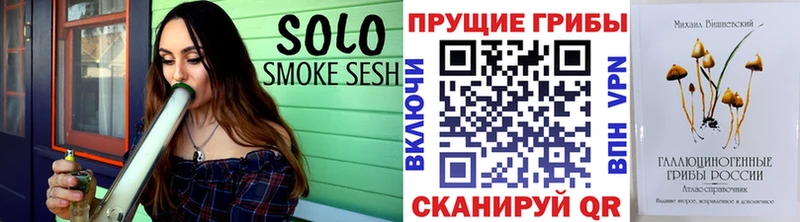 где можно купить   Зерноград  Псилоцибиновые грибы Psilocybe 