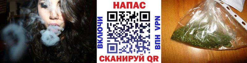 где можно купить   Зерноград  Бошки Шишки MAZAR 